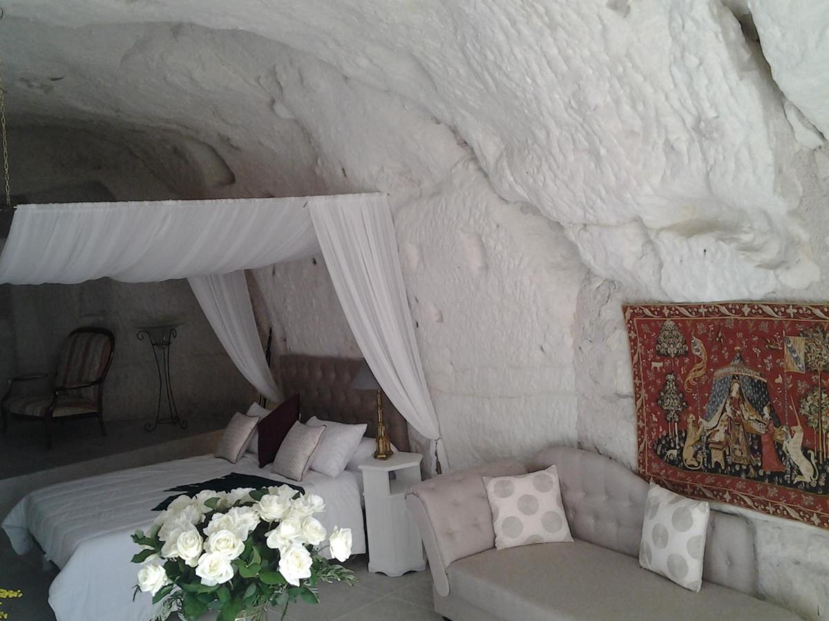 Bed and Breakfast Le Manoir Des Roches Bourré Zewnętrze zdjęcie