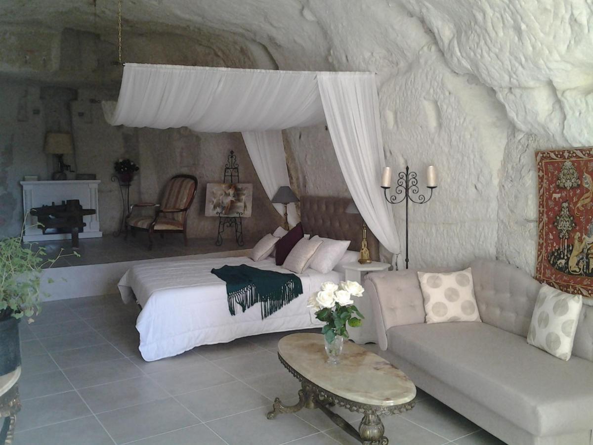 Bed and Breakfast Le Manoir Des Roches Bourré Zewnętrze zdjęcie