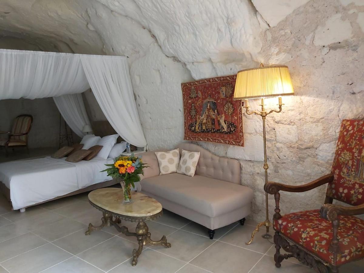 Bed and Breakfast Le Manoir Des Roches Bourré Zewnętrze zdjęcie