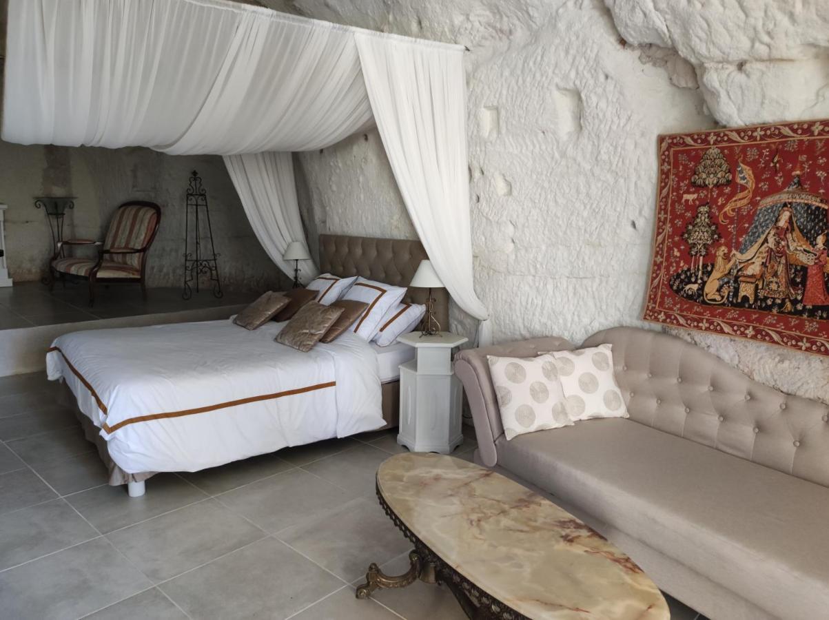 Bed and Breakfast Le Manoir Des Roches Bourré Zewnętrze zdjęcie